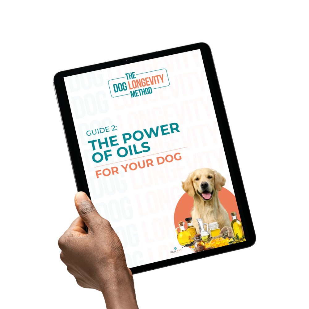 Guide 2: The Power of Oils For Your Dog