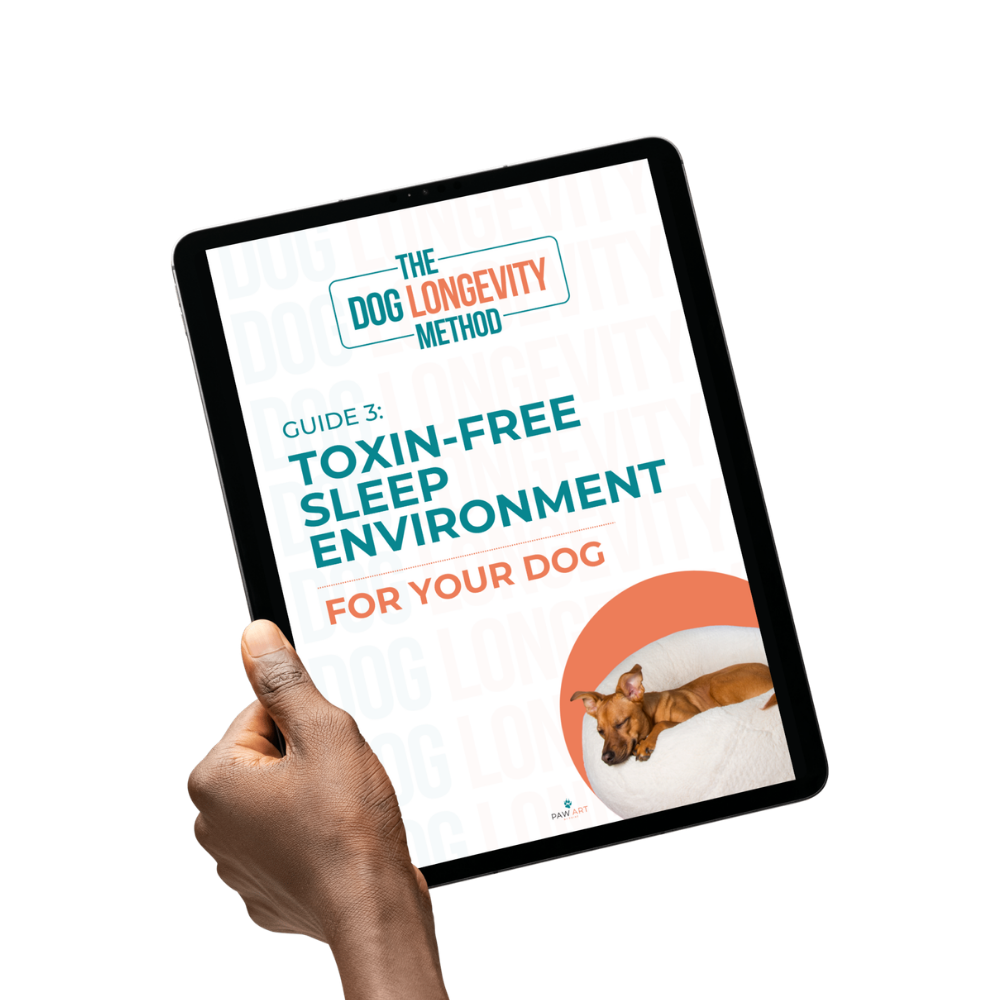 Guide 3: Toxin-Free Sleep Environment For Your Dog