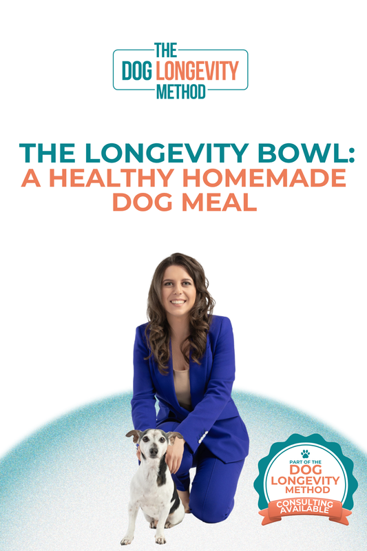 Healthy Homemade Dog Meal for Longevity