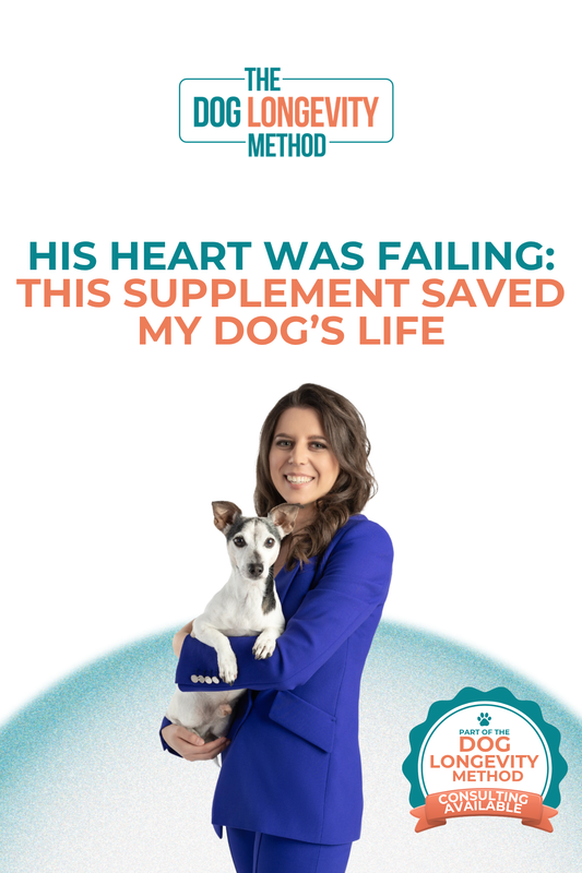 The Heart Supplement That Saved My Dog’s Enlarged Heart