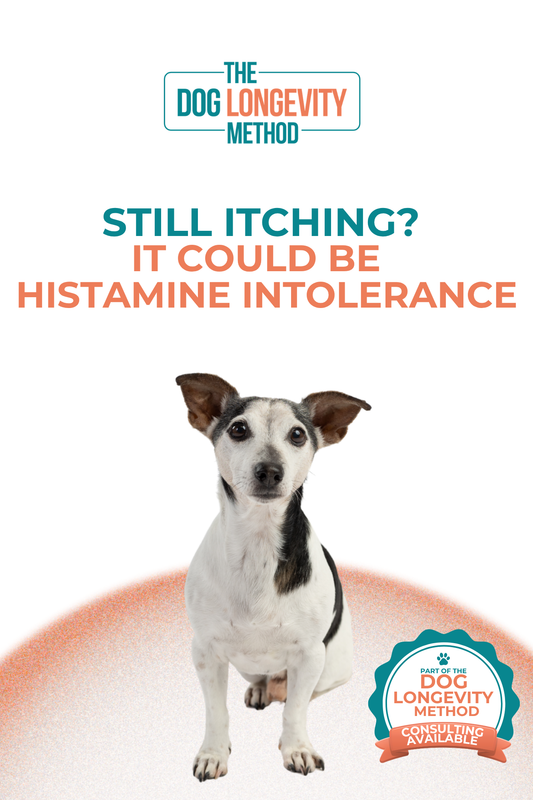 Histamine Intolerance In Dogs