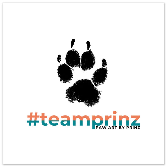 955e12bb-57c6-4cae-862a-5c8e55b4e2c6