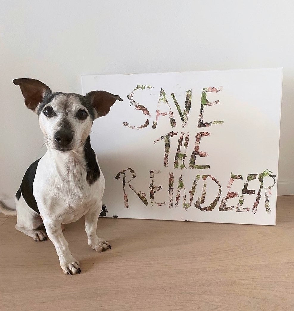 "Save The Reindeer" Artwork