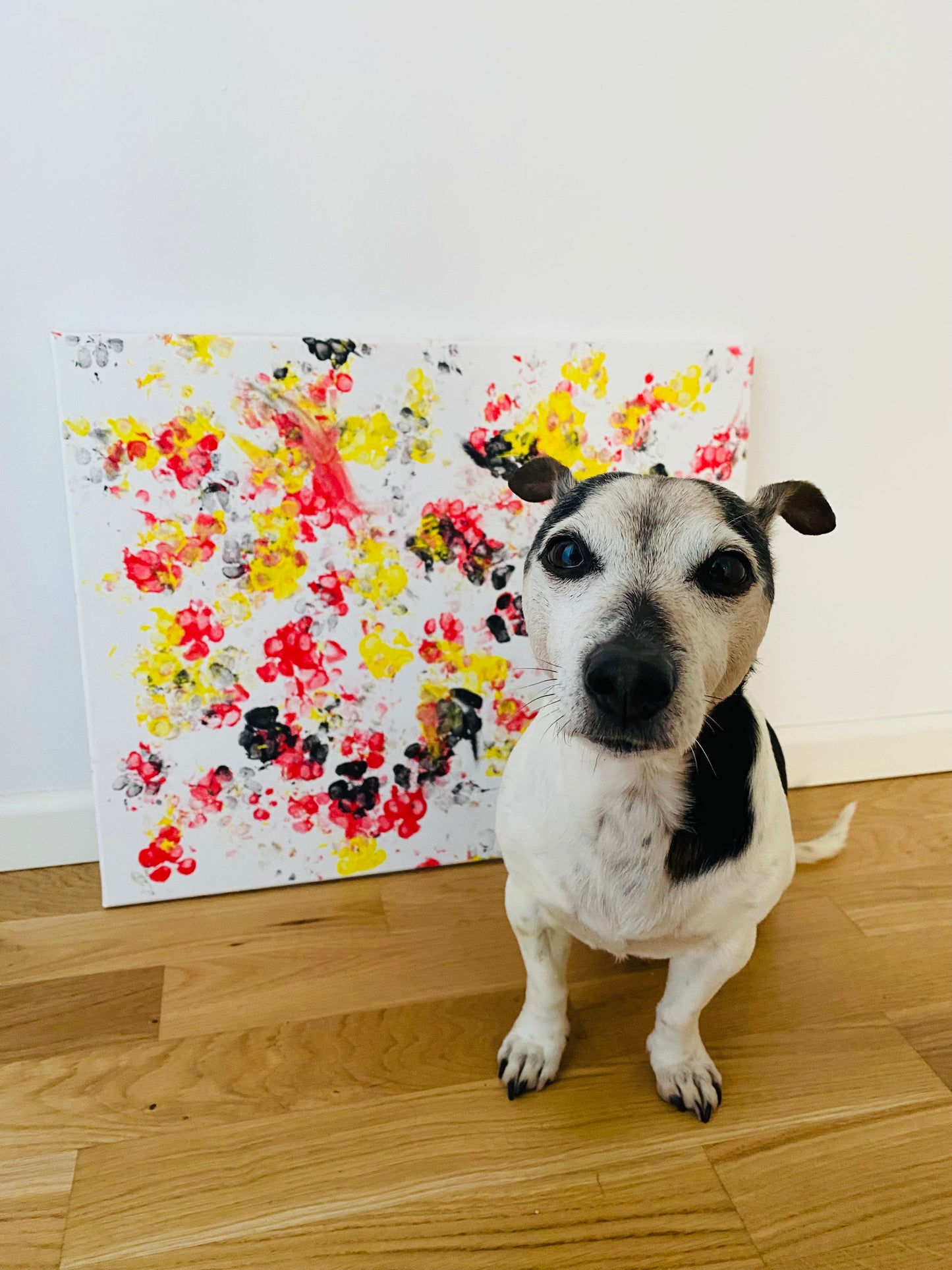 "United Paws" Artwork