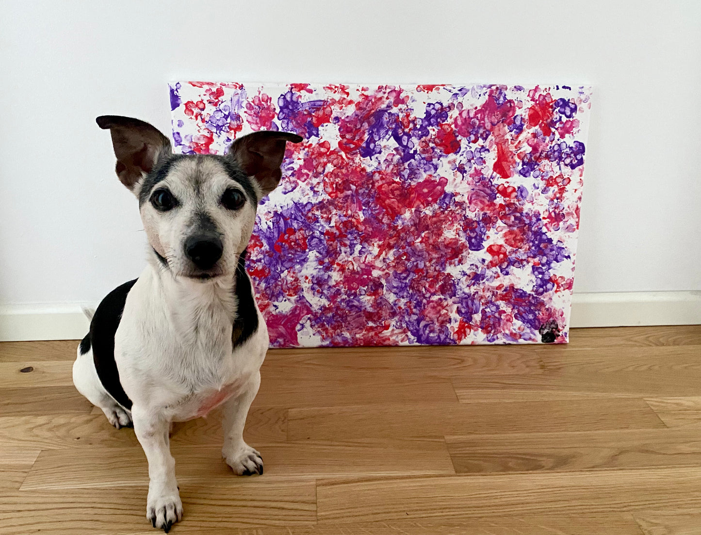 "The Pink Chaos" Artwork