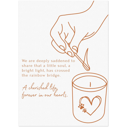 c123fc1e-df42-49ae-bae1-a94279eae281