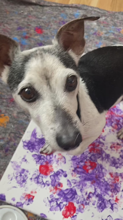 "The Pink Chaos" Artwork